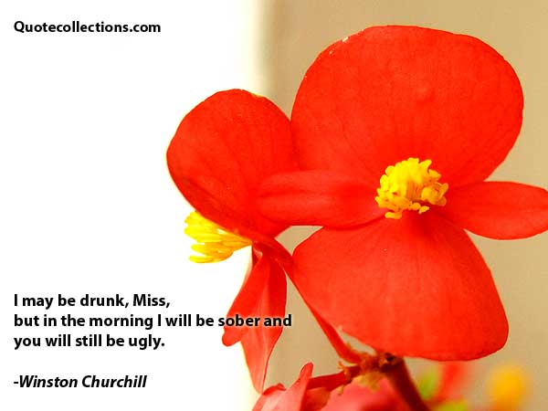 Winston Churchill Quotes2